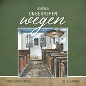 Omslag van Onbegrepen wegen