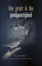 Omslag van Hoe groot is Uw goedgunstigheid