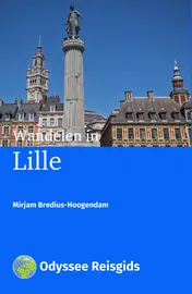 Omslag van Wandelen in Lille
