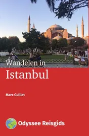 Omslag van Wandelen in Istanbul