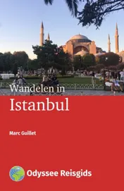 Omslag van Wandelen in Istanbul