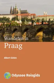 Omslag van Wandelen in Praag