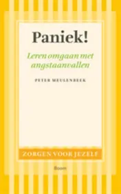Omslag van Paniek!