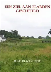 Omslag van Een ziel aan flarden gescheurd
