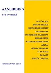 Omslag van Aanbidding