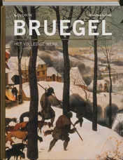 Omslag van Bruegel