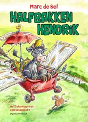 Omslag van Halfbakken Hendrik