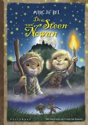 Omslag van De steen van Nowan