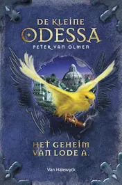 Omslag van Het geheim van Lode A