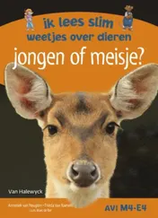 Omslag van Jongen of meisje? Ik lees slim - weetjes over dieren