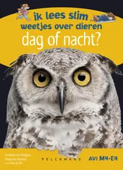 Omslag van Dag of nacht? Ik lees slim - weetjes over dieren