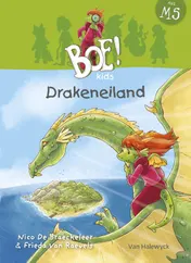 Omslag van Drakeneiland