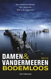 Omslag van Bodemloos