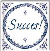 Omslag van Succes