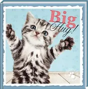 Omslag van Big hug! set 4 ex