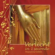 Omslag van Verlicht in 1 seconde