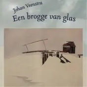 Omslag van Een brogge van glas