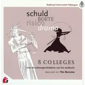 Omslag van Schuld, boete, risico, drama