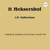 Omslag van It Heksershol