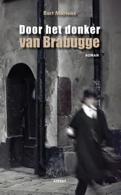 Omslag van Door het donker van Brabugge