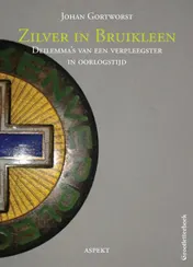 Omslag van Zilver in bruikleen