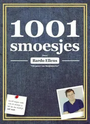 Omslag van 1001 smoesjes