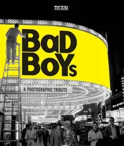 Omslag van Bad Boys