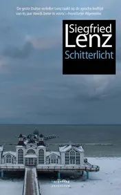 Omslag van Schitterlicht