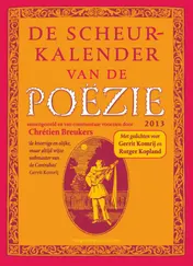 Omslag van 2013