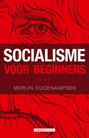 Omslag van Socialisme voor beginners