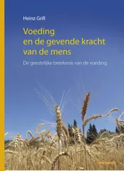 Omslag van Voeding en de gevende kracht van de mens