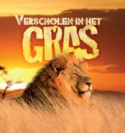 Omslag van Verscholen in het gras