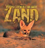 Omslag van Verscholen in het zand