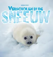 Omslag van Verscholen in de sneeuw