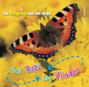 Omslag van Van Rups tot vlinder