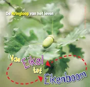Omslag van Van eikel tot eikenboom