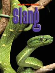 Omslag van Slang