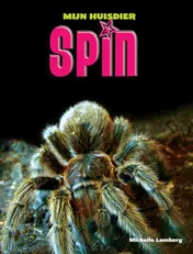 Omslag van Spin