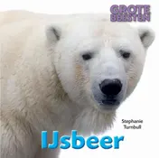 Omslag van IJsbeer