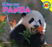 Omslag van Panda