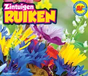 Omslag van Ruiken