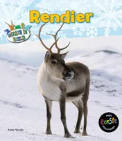 Omslag van Rendier