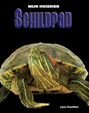 Omslag van Schildpad