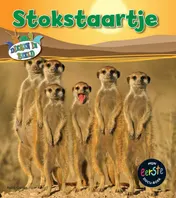 Omslag van Stokstaartje