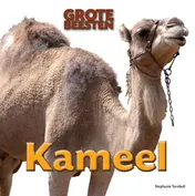 Omslag van Kameel
