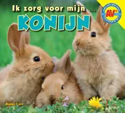 Omslag van Konijn