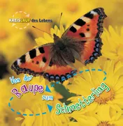 Omslag van Von der Raupe zum Schmetterling