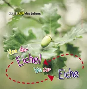 Omslag van Von der Eichel zur Eiche