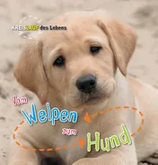 Omslag van Vom Welpen zum Hund
