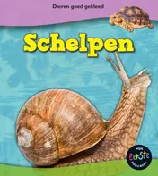 Omslag van Schelpen